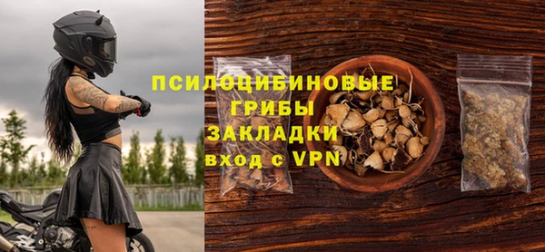 spice Михайлов