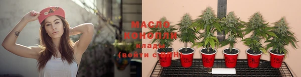 spice Михайлов