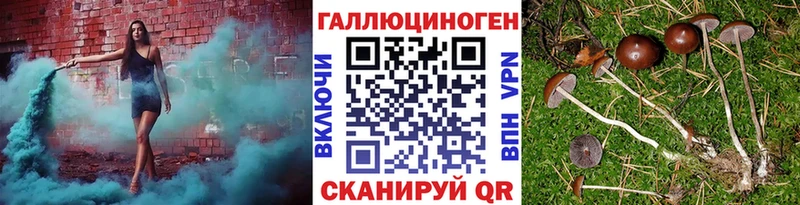 Галлюциногенные грибы GOLDEN TEACHER Кашира